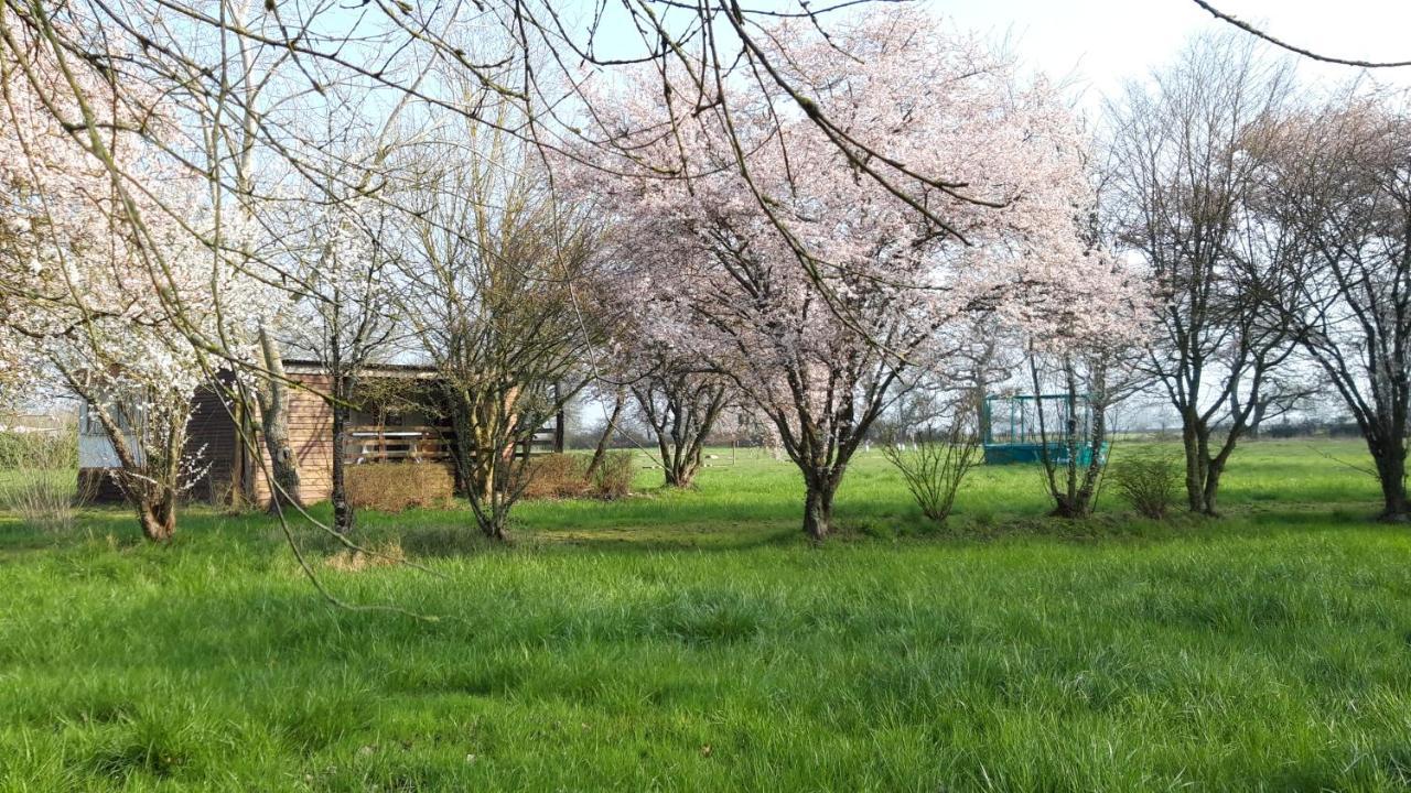Le Domaine De La Barre Saint Michel Otel Gourgé Dış mekan fotoğraf